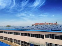 山東麗鵬4點5MW太陽能光電建筑應(yīng)用示范項目